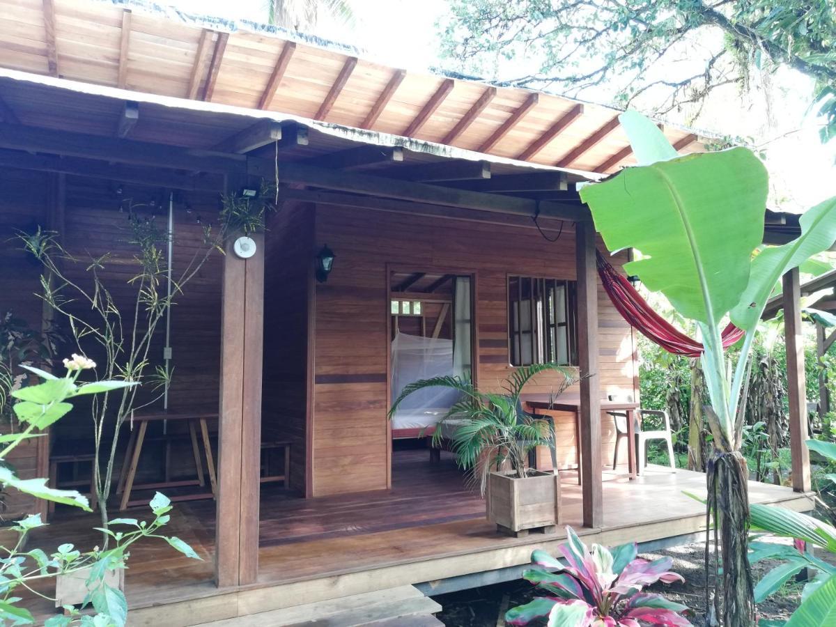 La Tarima Del Colibri Ecolodge El Valle (Choco) Exterior foto
