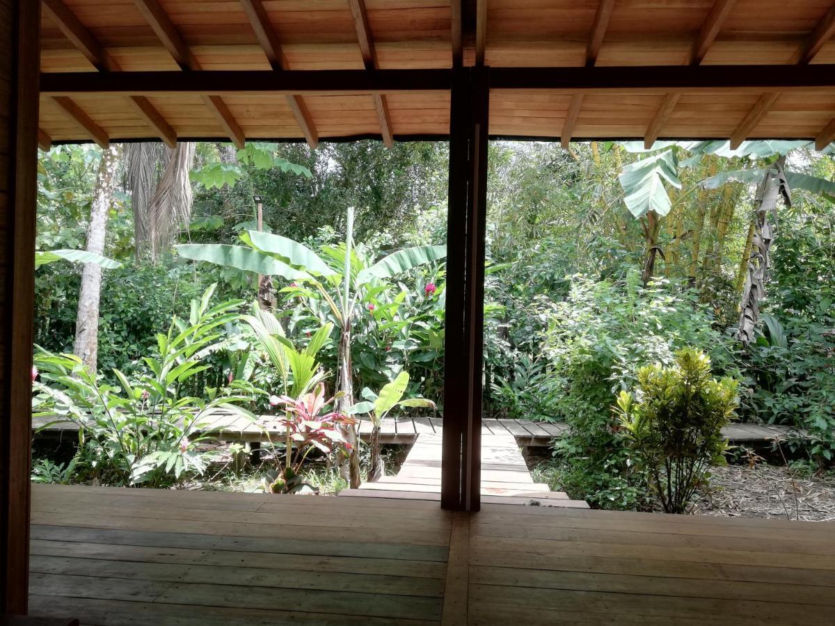 La Tarima Del Colibri Ecolodge El Valle (Choco) Exterior foto