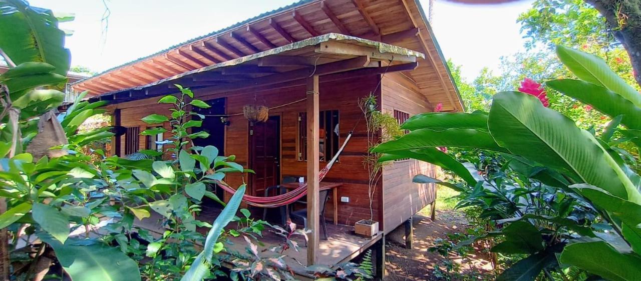 La Tarima Del Colibri Ecolodge El Valle (Choco) Exterior foto