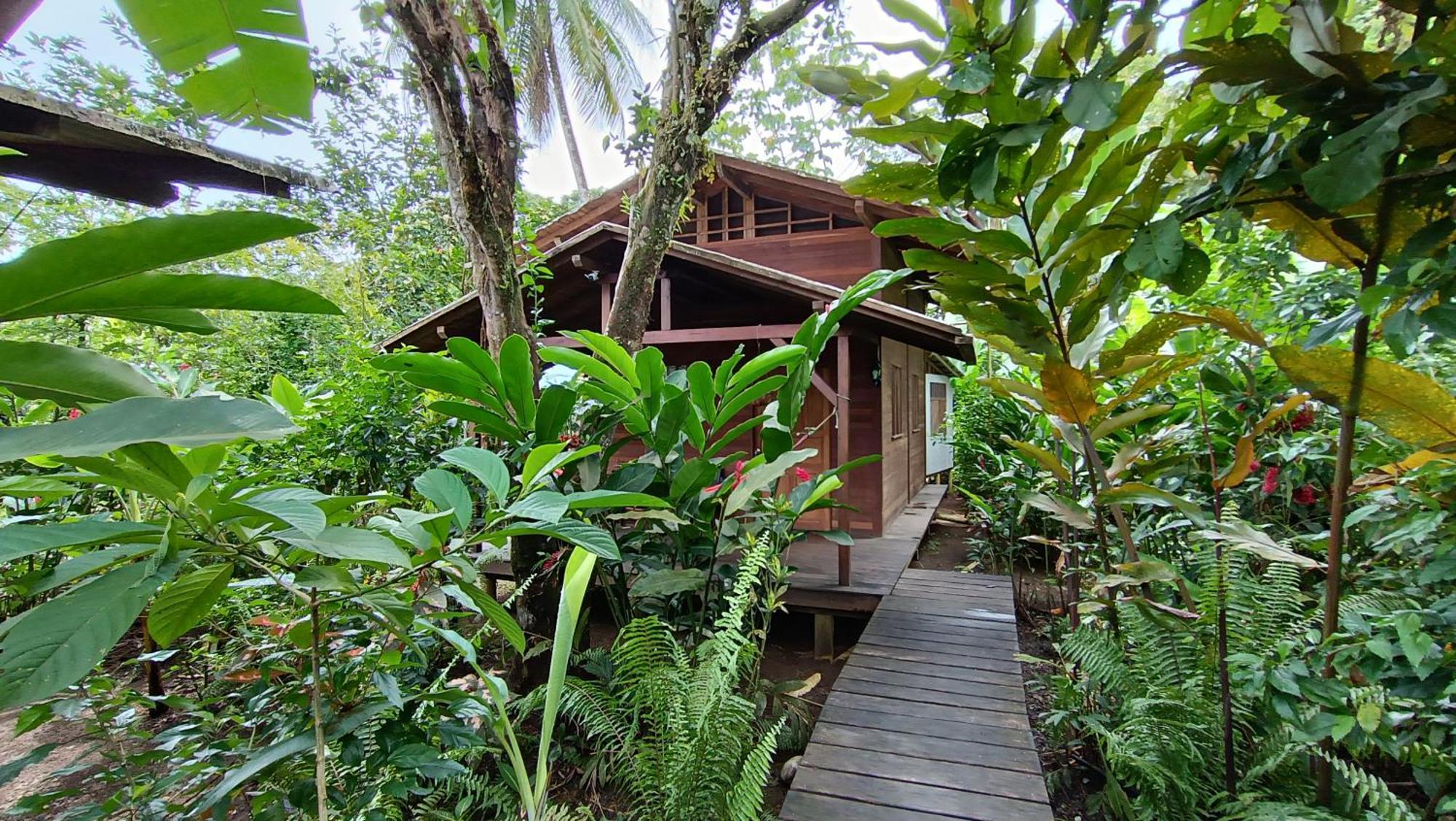 La Tarima Del Colibri Ecolodge El Valle (Choco) Exterior foto