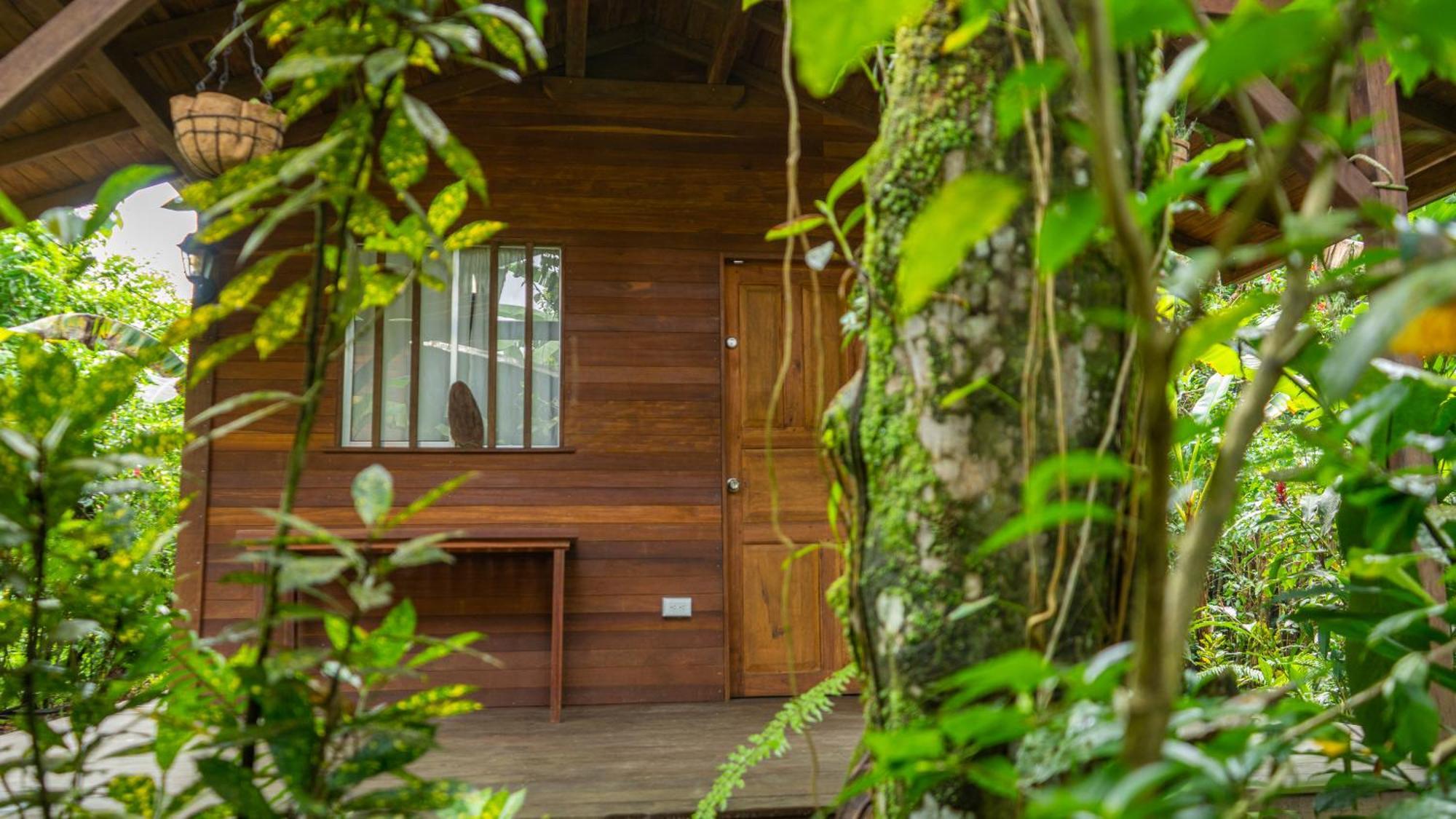 La Tarima Del Colibri Ecolodge El Valle (Choco) Exterior foto