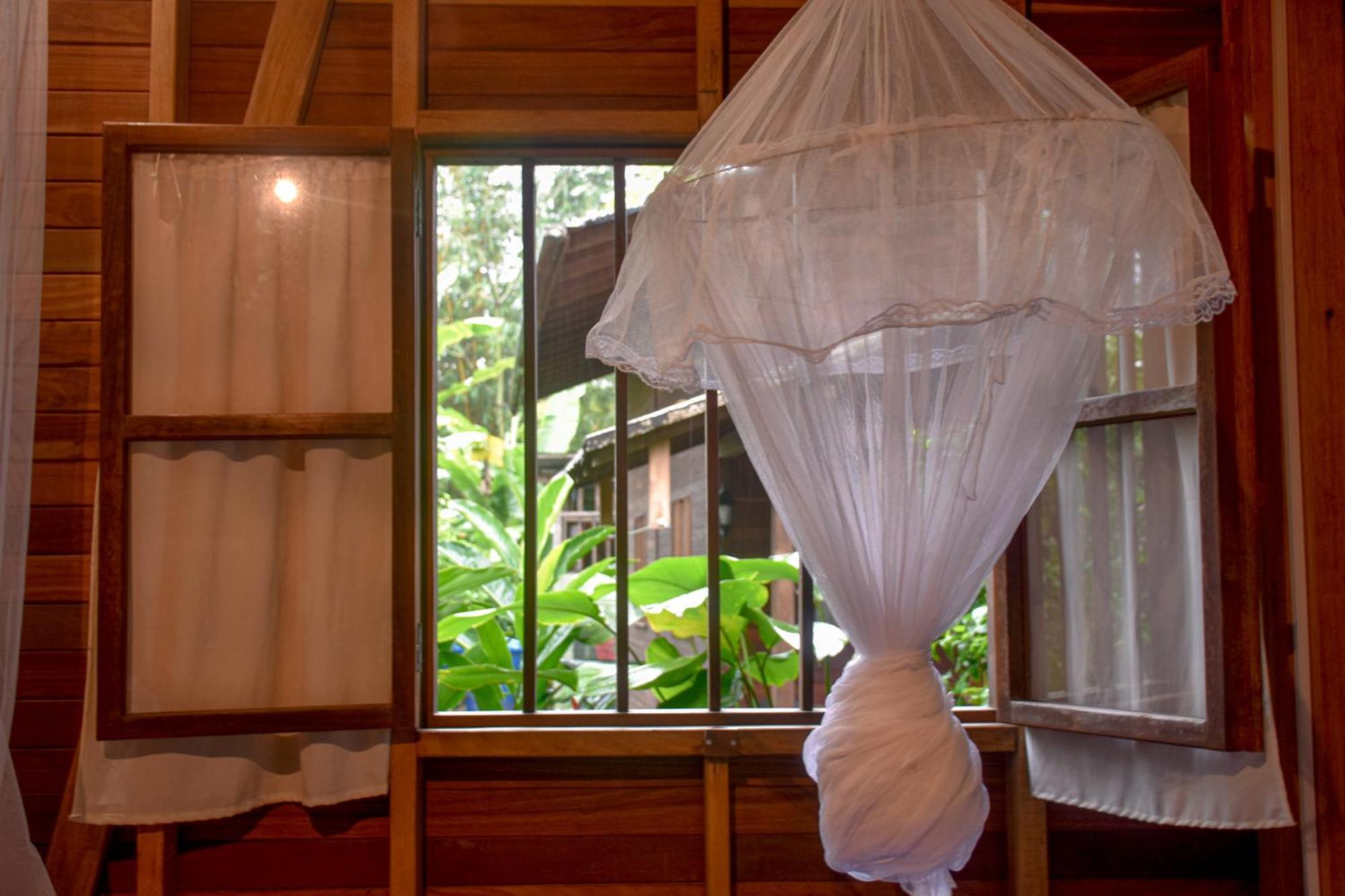 La Tarima Del Colibri Ecolodge El Valle (Choco) Exterior foto