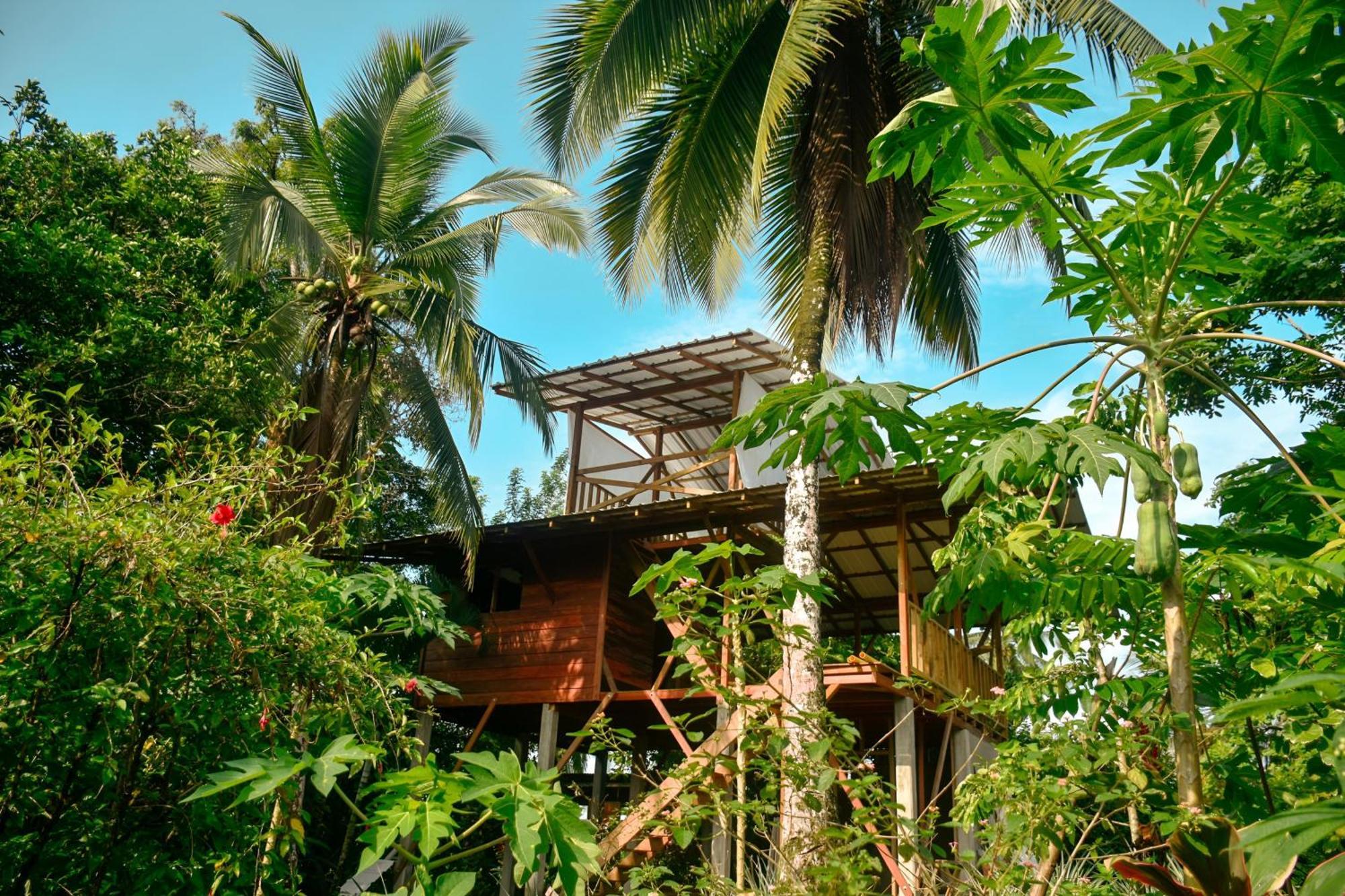 La Tarima Del Colibri Ecolodge El Valle (Choco) Exterior foto